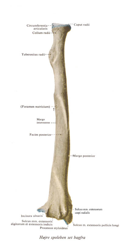 radius2
