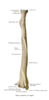 radius2